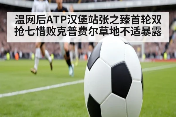 温网后ATP汉堡站张之臻首轮双抢七惜败克普费尔草地不适暴露