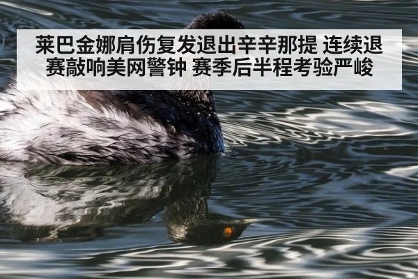 莱巴金娜肩伤复发退出辛辛那提 连续退赛敲响美网警钟 赛季后半程考验严峻